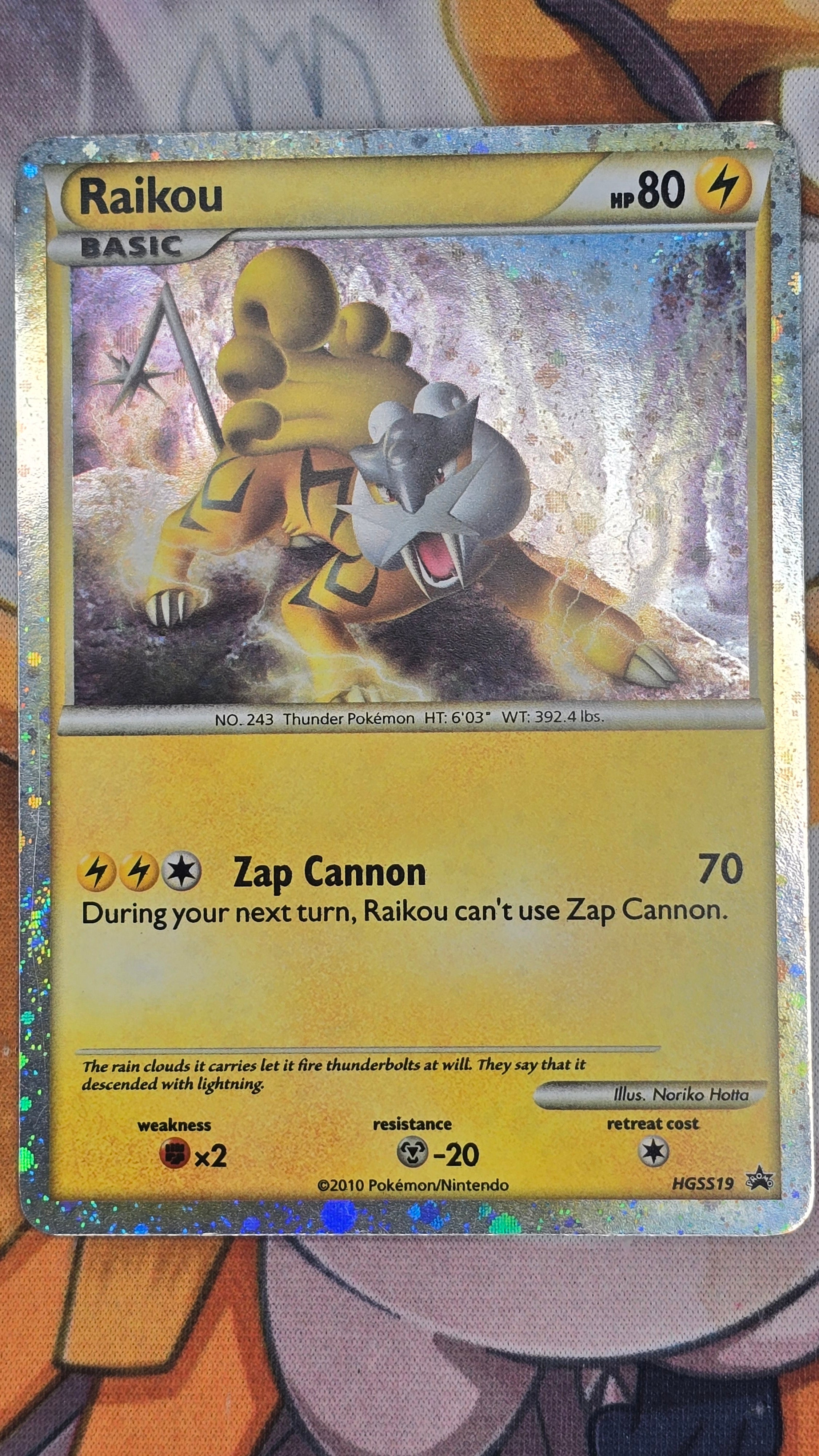 Raikou HGSS19 - LP - HeartGold SoulSilver Promo Holo (2010)