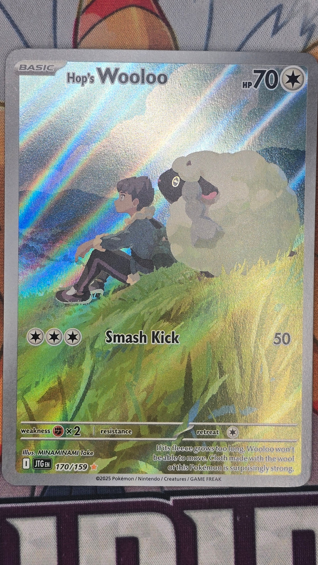 Hop's Wooloo 170/159 - Illustration Rare - Journey Together - NM