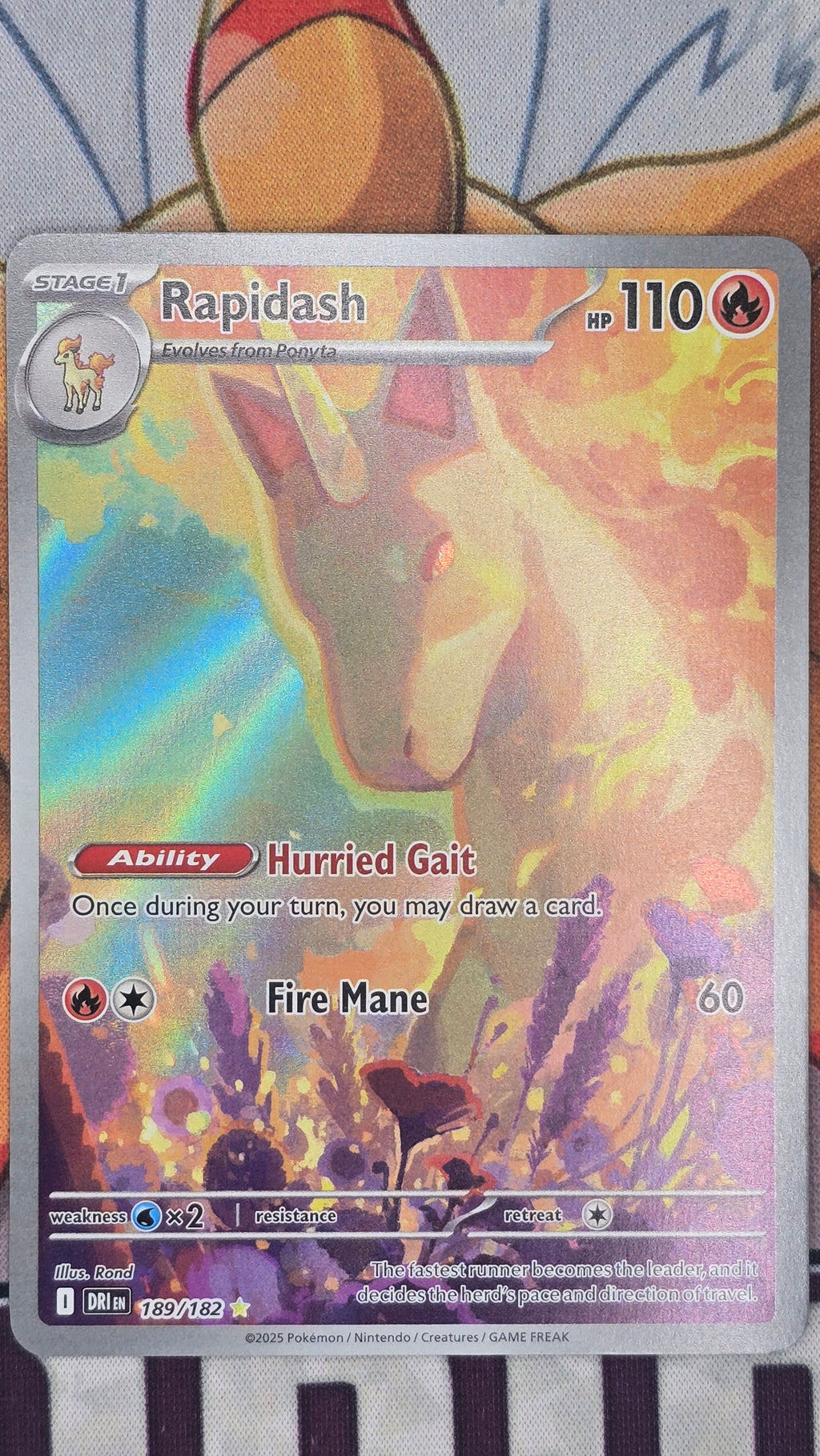 Rapidash 189/182 -  Destins Rivals NM illustration rare