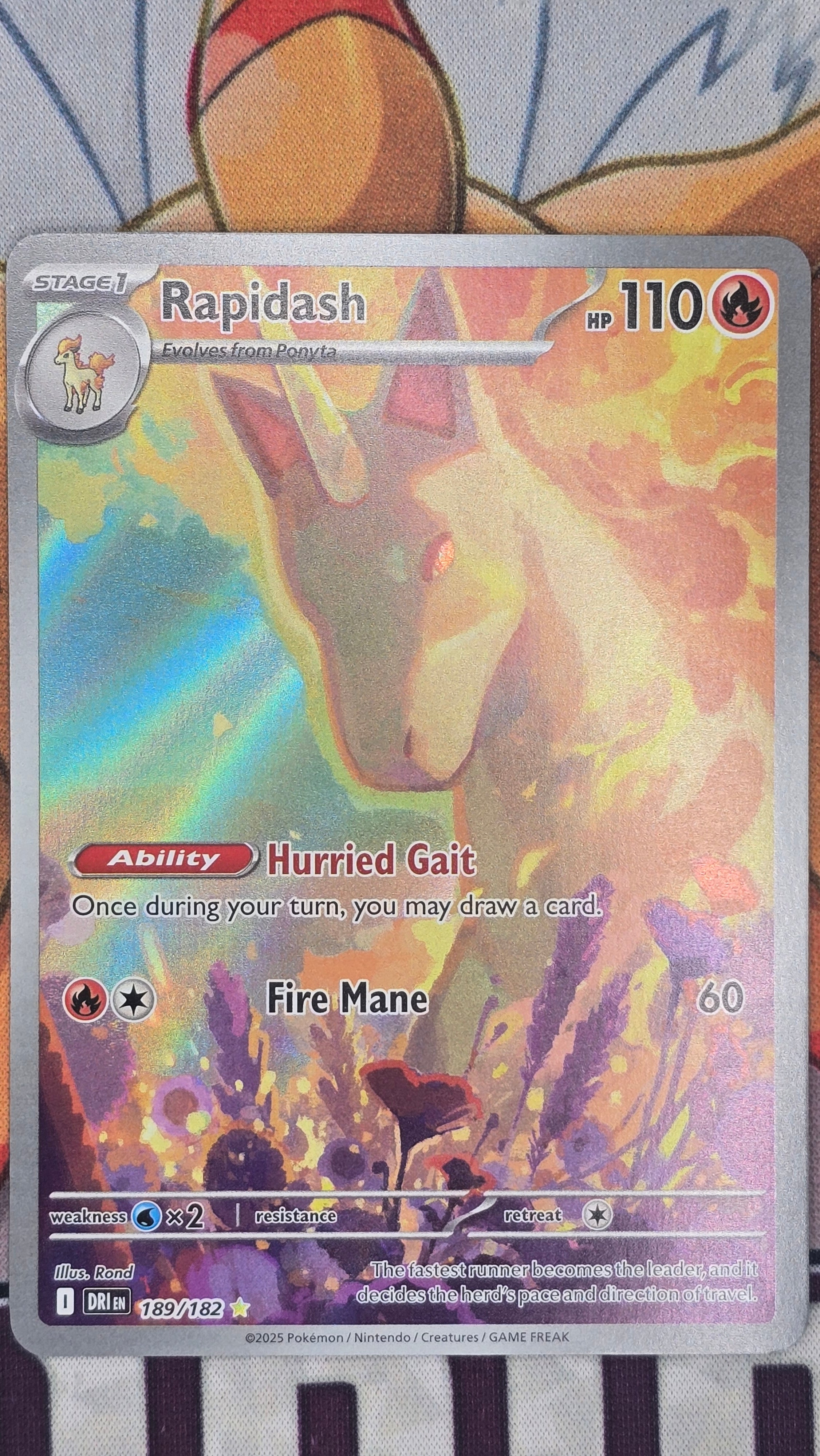 Rapidash 189/182 -  Destins Rivals NM illustration rare